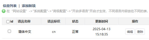 建设多语言版网站